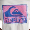 Quiksilver Women’s Stamped Classic T-Shirt(White)
