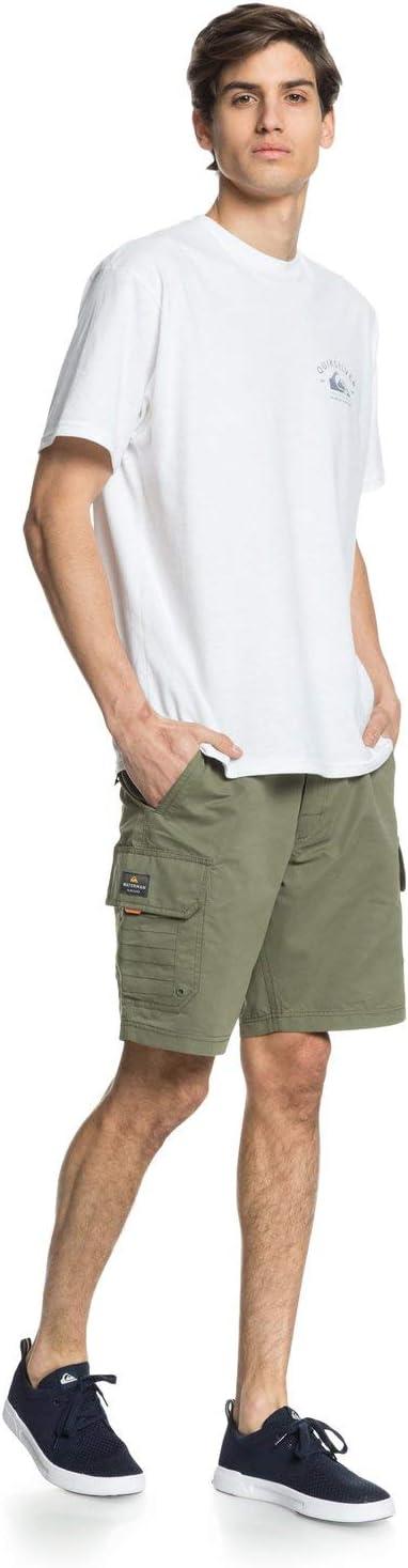 imageQuiksilver Mens Maldive 9 ShortsDeep Lichen Green