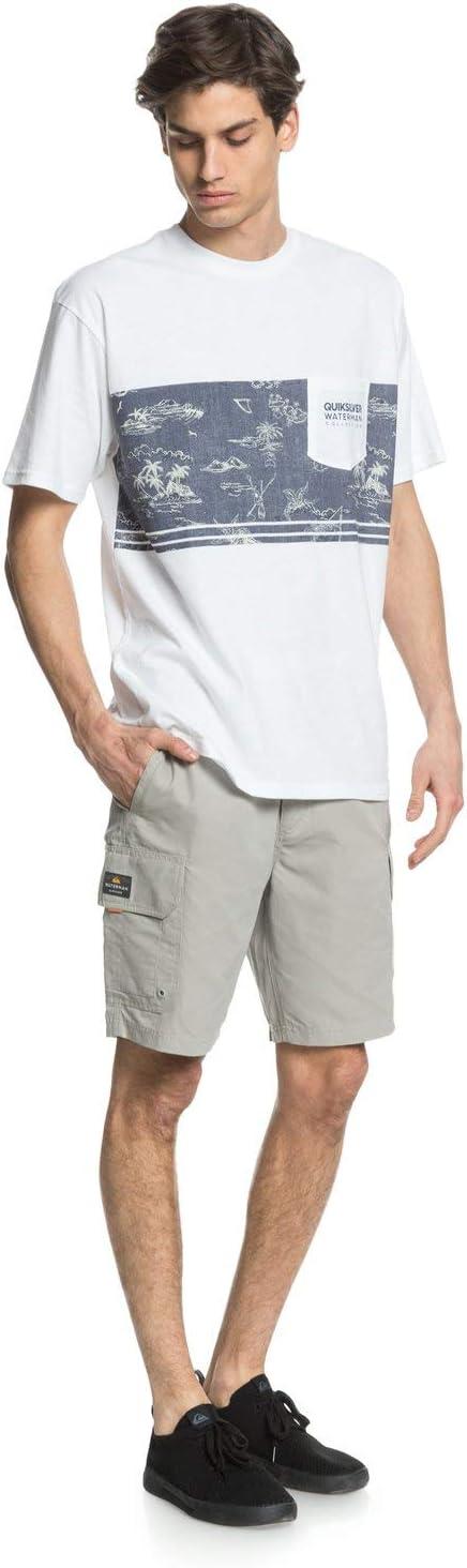 imageQuiksilver Mens Maldive 9 ShortsFlint Gray