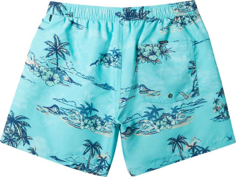 imageQuiksilver Mens Standard Everyday Mix 17 Volley Boardshort Swim TrunkCapri