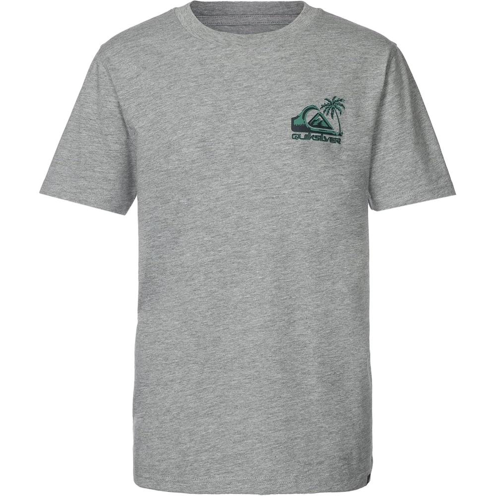 imageQuiksilver Boys Short Sleeve Logo Graphic TShirt Soft ampamp Comfortable Regular FitGrey Molded