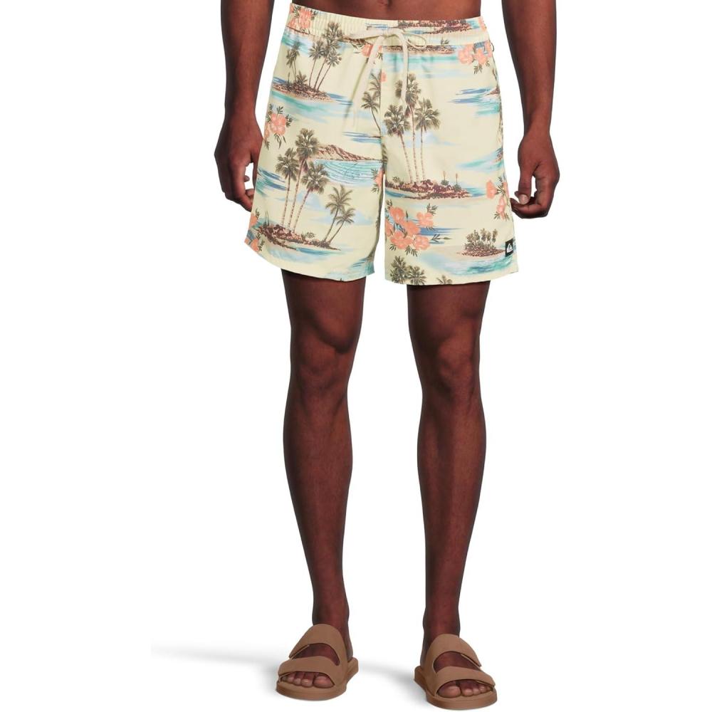 imageQuiksilver Mens Everyday Mix 17 Nb VolleySilver Birch