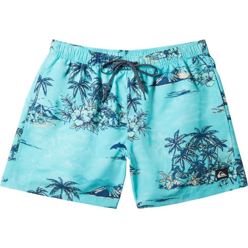 imageQuiksilver Mens Standard Everyday Mix 17 Volley Boardshort Swim TrunkCapri