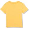 Quiksilver Boy’s Day Tripper Short Sleeve Tee Shirt(Tangerine 241)