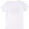 Quiksilver Boy’s Day Tripper Short Sleeve Tee Shirt(White 241)