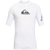 Quiksilver Mens All Time Short Sleeve Rashguard UPF 50 Sun Protection Surf Shirt(Blue)