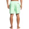 Quiksilver Mens Everyday Volley 17 Volley Swim Trunk Bathing Suit(Cabbage Heather Everyday Volley 17)