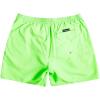 Quiksilver Mens Everyday Volley 17 Volley Swim Trunk Bathing Suit(Green Gecko)