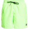 Quiksilver Mens Everyday Volley 17 Volley Swim Trunk Bathing Suit(Green Gecko)