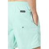 Quiksilver Mens Everyday Volley 17 Volley Swim Trunk Bathing Suit(Pastel Turquoise 233)