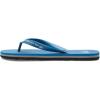 Quiksilver Men’s Flip Flop Sandal(Blue 2)