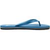 Quiksilver Men’s Flip Flop Sandal(Blue 2)