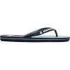 Quiksilver Men’s Flip Flop Sandal(Blue Blue Blue Green Xbbg)
