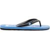 Quiksilver Men’s Molokai Flip Flop Athletic Sandal(Black Blue Black)