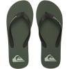 Quiksilver Men’s Molokai Flip Flop Athletic Sandal(Black Green Blue)