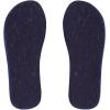 Quiksilver Men’s Molokai Flip Flop Athletic Sandal(Blue Green)