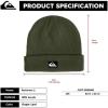 Quiksilver Mens Performer 2 Beanie(Grape Leaf)