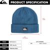 Quiksilver Mens Performer 2 Beanie(Nebulas Blue)