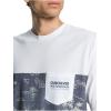 Quiksilver Men’s Prophecy Tee(White)