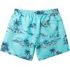 Quiksilver Men’s Standard Everyday Mix 17 Volley Boardshort Swim Trunk(Capri)