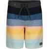 Quiksilver Boys Boardshorts with UPF 50+ Sun Protection, Quick Dry Swim Shorts(Island Waters)