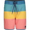Quiksilver Boys Boardshorts with UPF 50+ Sun Protection, Quick Dry Swim Shorts(Surfsilk Island)