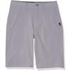 Quiksilver Boys Legacy Union Amphibian Shorts(Sleet)