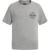 Quiksilver Boys Short Sleeve Logo Graphic T-Shirt, Soft & Comfortable, Regular Fit(Grey Locked Up)
