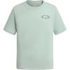 Quiksilver Boys Short Sleeve Logo Graphic T-Shirt, Soft & Comfortable, Regular Fit(Mist Green Link)