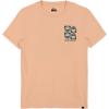 Quiksilver Boys Short Sleeve Logo Graphic T-Shirt, Soft & Comfortable, Regular Fit(Morning Sun)