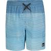Quiksilver Boys Volley Swim Trunks with UPF 50+ Sun Protection, Quick Dry Bathing Suit Shorts(Aqua Sky Massive)