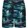 Quiksilver Boys Volley Swim Trunks with UPF 50+ Sun Protection, Quick Dry Bathing Suit Shorts(Phantom Mix)