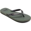 Quiksilver Men’s Molokai Flip Flop Athletic Sandal(Green Black Green)