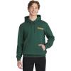 Quiksilver Men’s Regular Fit Super Soft Fleece Midweight Pullover Hooded Sweatshirt(Green Topiary)