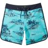 Quiksilver Mens Surfsilk Scallop 19 Boardshort Swim Trunk(Capri)