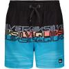 Quiksilver boys Volley Swim Trunks With Upf 50+ Sun Protection, Quick Dry Bathing Suit Shorts(Black Wordblock)