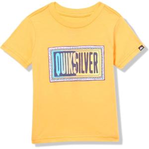 Quiksilver Boy’s Day Tripper Short Sleeve Tee Shirt(Tangerine 241)
