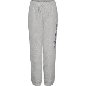 Quiksilver Boys Fleece Jogger Sweatpants with Pockets, Elastic Waistband with Drawstring Closure(Grey Heather Qs)