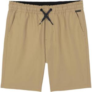 Quiksilver Boys Pull-on Amphibian Hybrid Shorts, Comfort Stretch Fabric, Water Friendly(Khaki Taxer)