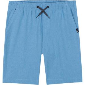 Quiksilver Boys Pull-on Amphibian Hybrid Shorts, Comfort Stretch Fabric, Water Friendly(Niagra Heather Eddie)