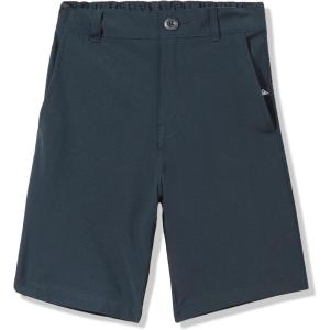 Quiksilver Boys Quiksilver Boy’s Union Amphibian 13 Hybrid Shorts(Black 241)