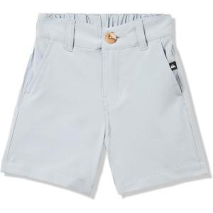Quiksilver Boys Quiksilver Boy’s Union Amphibian 13 Hybrid Shorts(Quarry 241)