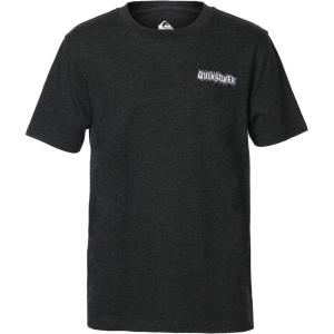 Quiksilver Boys Short Sleeve Logo Graphic T-Shirt, Soft & Comfortable, Regular Fit(Black Heather Paradise)