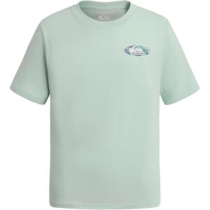 Quiksilver Boys Short Sleeve Logo Graphic T-Shirt, Soft & Comfortable, Regular Fit(Mist Green Link)