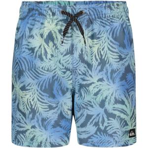 Quiksilver Boys Volley Swim Trunks with UPF 50+ Sun Protection, Quick Dry Bathing Suit Shorts(Stormy Seas)
