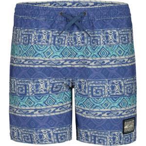 Quiksilver Boys Volley Swim Trunks with UPF 50+ Sun Protection, Quick Dry Bathing Suit Shorts(Surfsilk Global Navy)