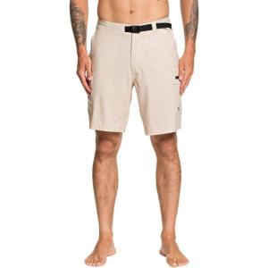 Quiksilver Men’s Captain Amphibian 20 Walk Short(Incense)
