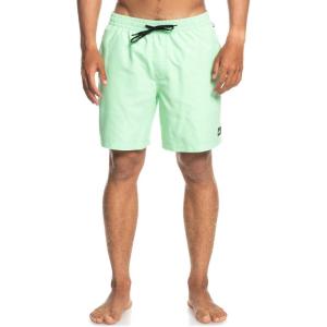 Quiksilver Mens Everyday Volley 17 Volley Swim Trunk Bathing Suit(Cabbage Heather Everyday Volley 17)