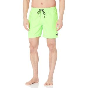 Quiksilver Mens Everyday Volley 17 Volley Swim Trunk Bathing Suit(Green Gecko)