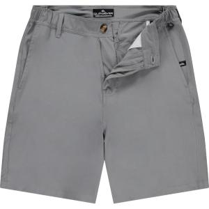 Quiksilver Shorts for Men Big and Tall, Hybrid Stretch Amphibian Quick Dry Short(Light Grey)